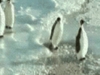 bitch-slap.gif image by DevaliaLin